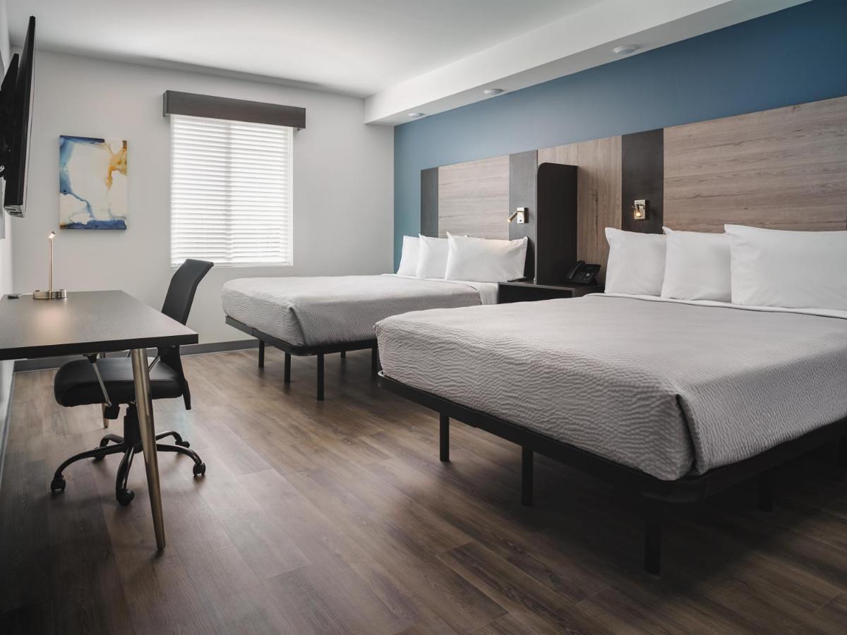 Live Oak Stayapt Suites San Antonio-Randolph מראה חיצוני תמונה